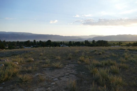P1020194