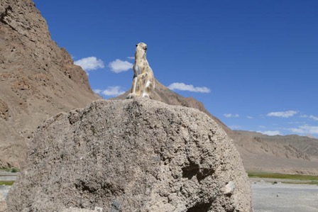 P1060063